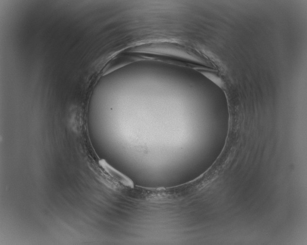 X0000073831169200608170933