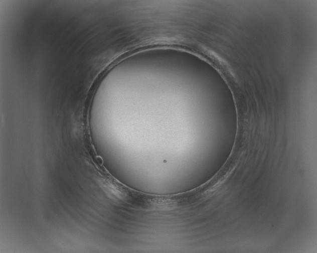 X0000073831170200608170933