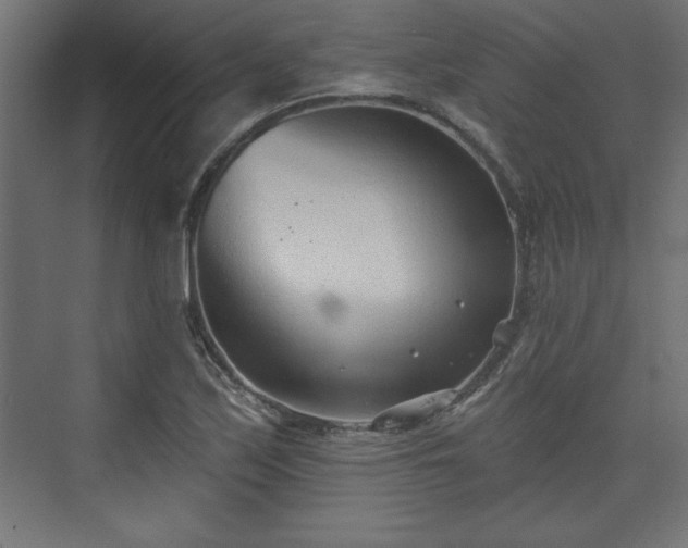 X0000073831171200608170933