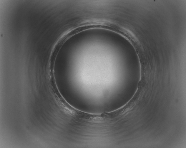 X0000073831172200608170933