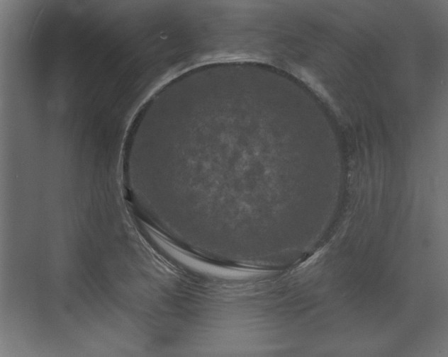 X0000073831173200608170933