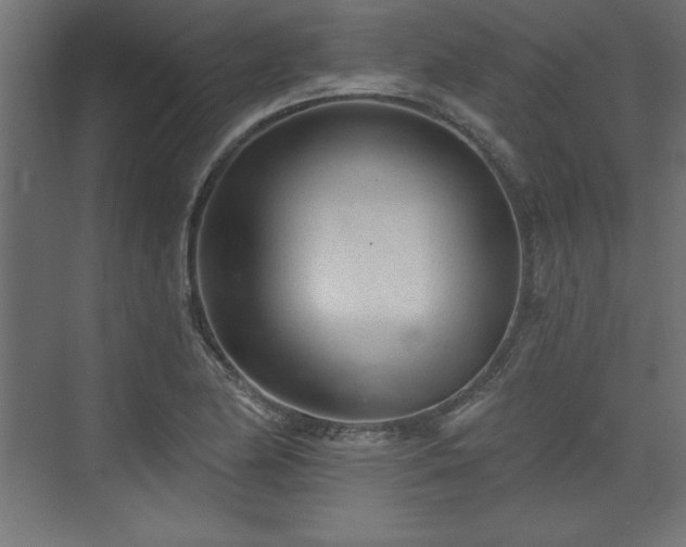 X0000073831174200608170933