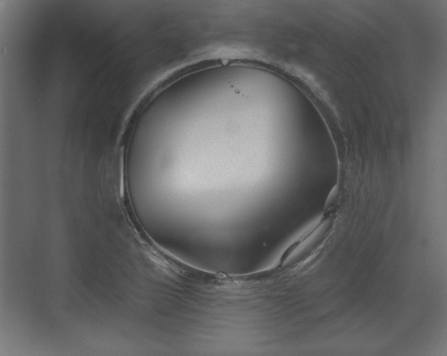 X0000073831175200608170933