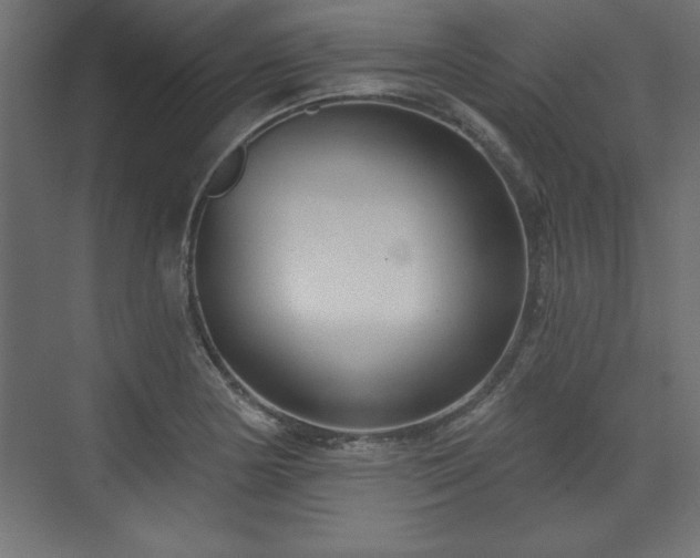 X0000073831178200608170933