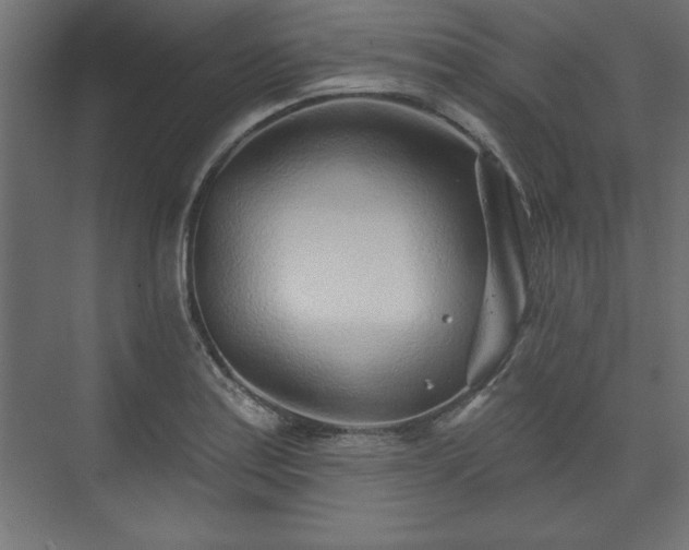 X0000073831179200608170933