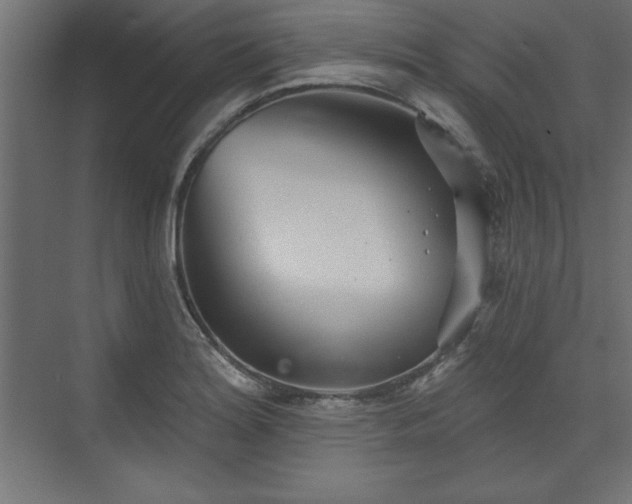 X0000073831180200608170933