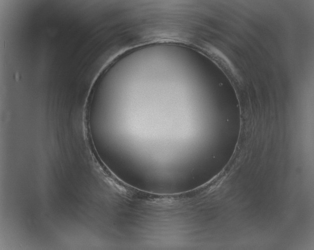 X0000073831182200608170933