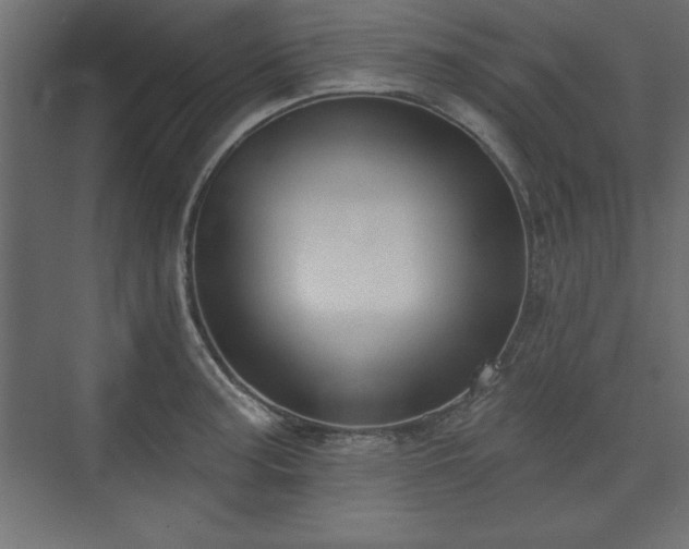 X0000073831187200608170933