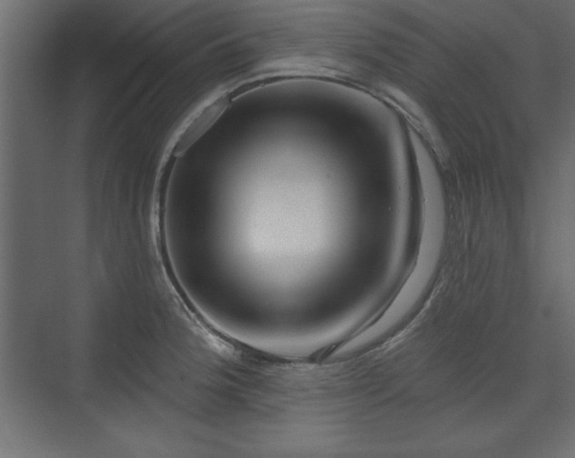 X0000073831188200608170933