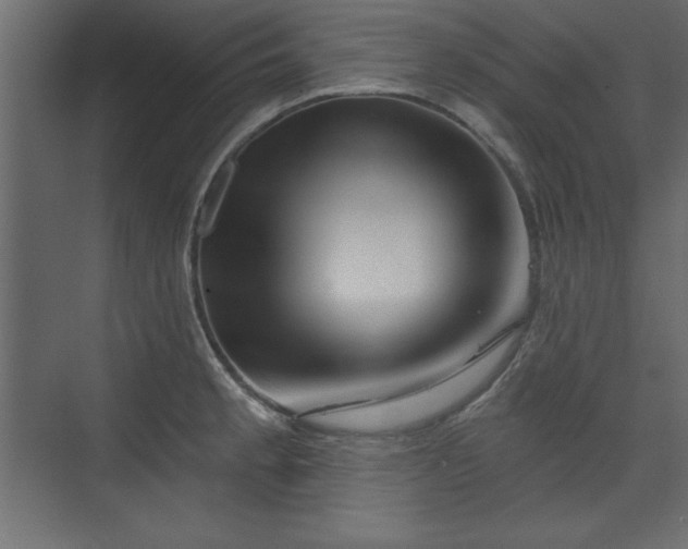 X0000073831189200608170933