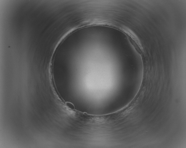 X0000073831190200608170933