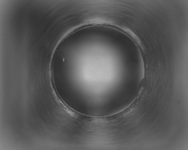 X0000073831191200608170933