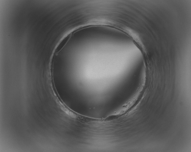 X0000073831192200608170933