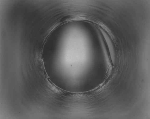 X0000073831193200608170933