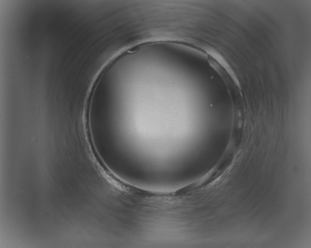 X0000073831197200608170933