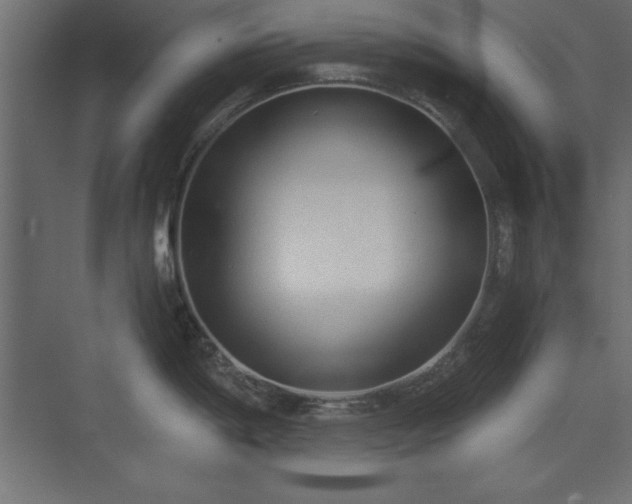 X0000073831198200608170933