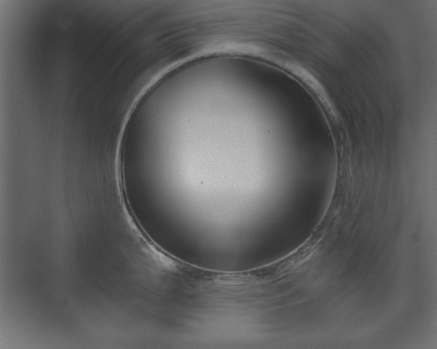 X0000073831199200608170933