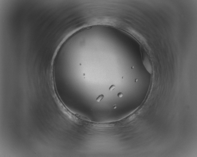 X0000073831200200608170933