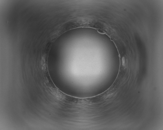 X0000073831203200608170932