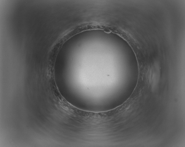 X0000073831207200608170932