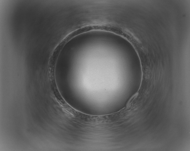 X0000073831208200608170932