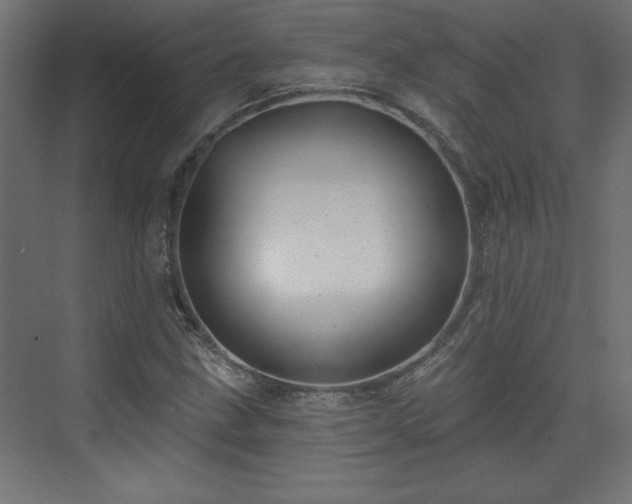 X0000073831211200608170932