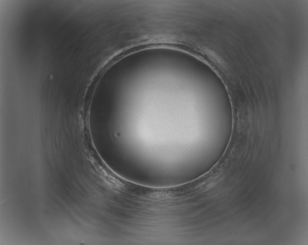 X0000073831212200608170932