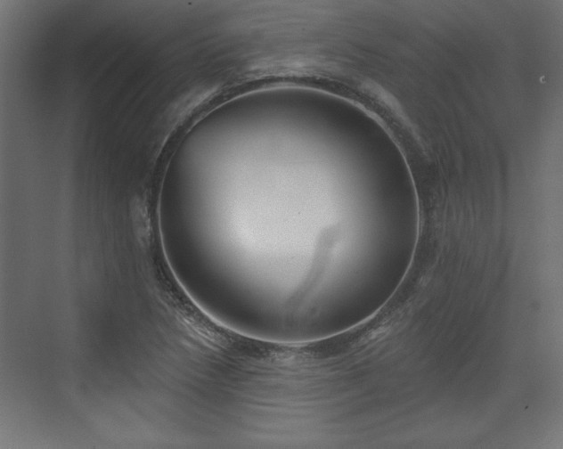 X0000073831218200608170932