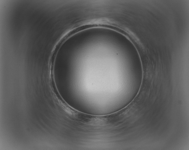 X0000073831224200608170932