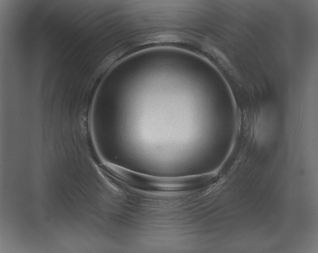 X0000073831225200608170932