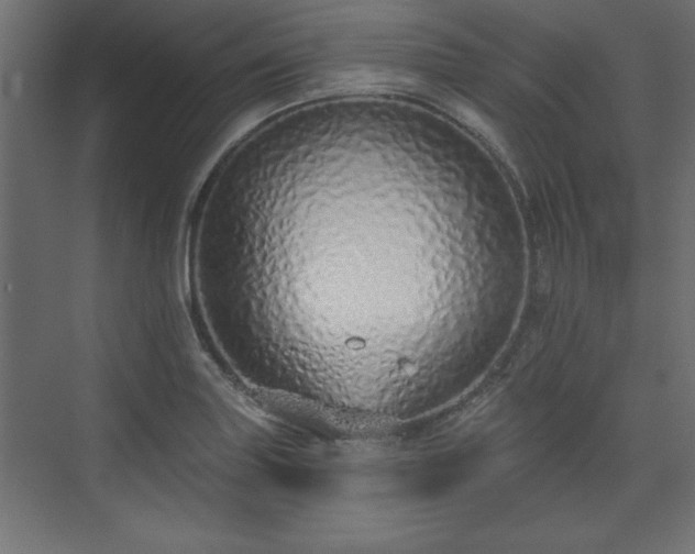 X0000073831227200608170932