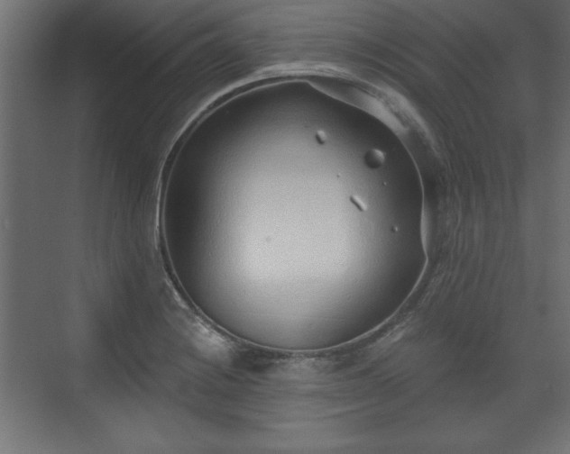 X0000073831228200608170932