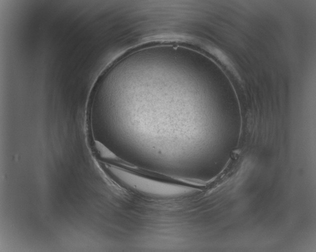 X0000073831229200608170932