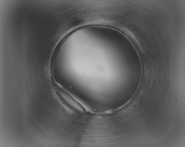 X0000073831230200608170932