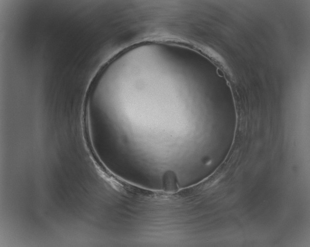 X0000073831231200608170932