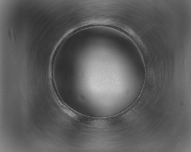 X0000073831232200608170932