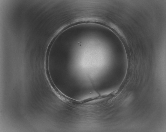 X0000073831237200608170933