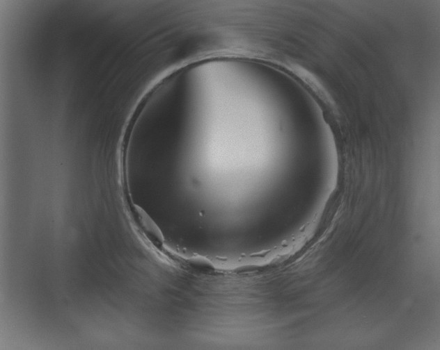 X0000073831238200608170933