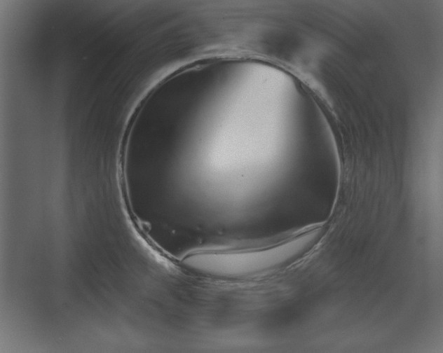 X0000073831239200608170933