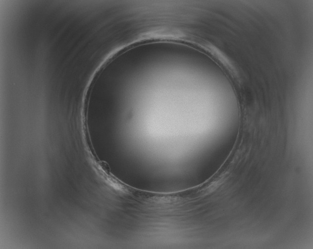 X0000073831240200608170933