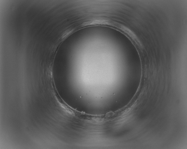 X0000073831241200608170933