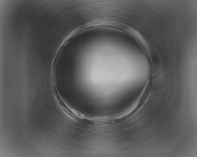 X0000073831242200608170933