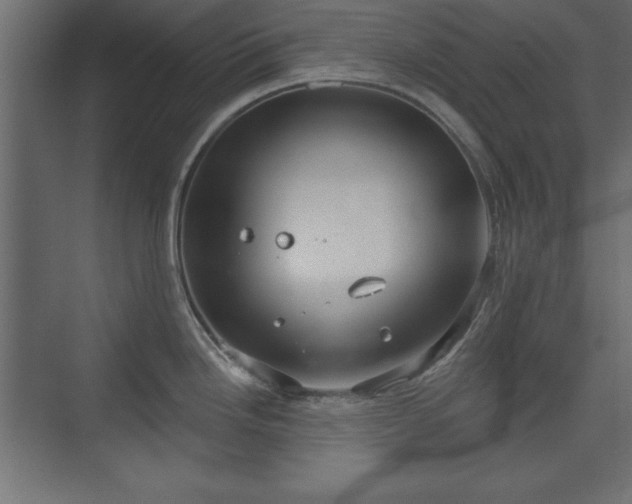 X0000073831246200608170933