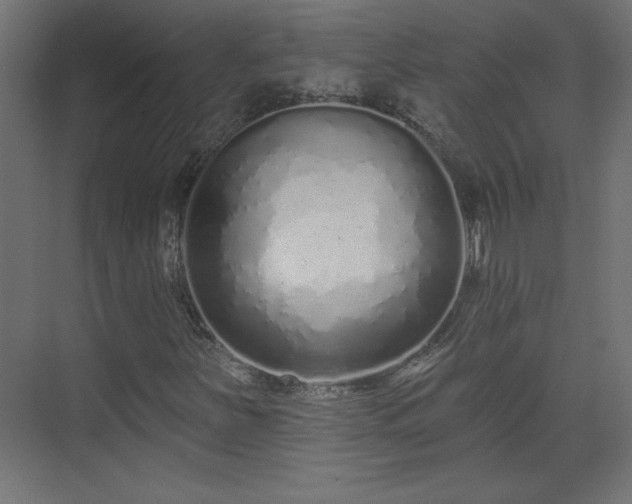 X0000073831251200608170932