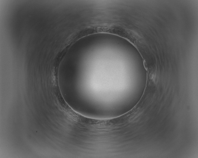 X0000073831252200608170932