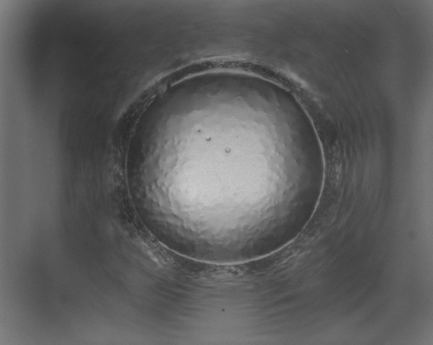 X0000073831255200608170932