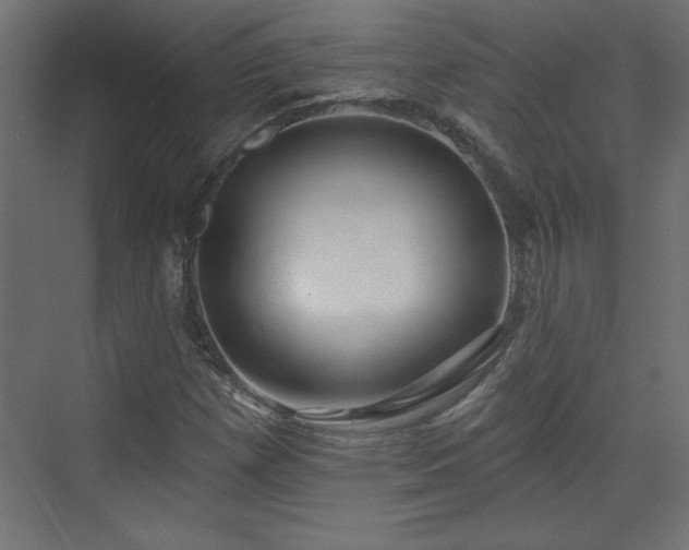 X0000073831257200608170932