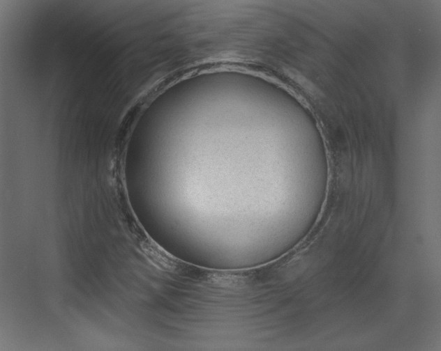 X0000073831258200608170932