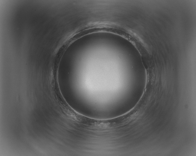 X0000073831261200608170932