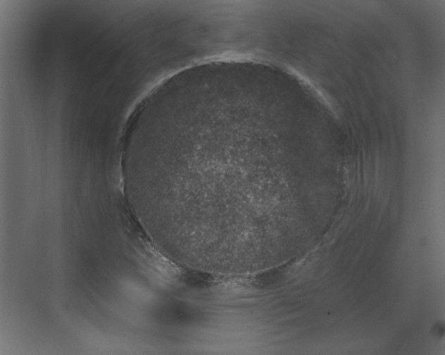 X0000073831262200608170932